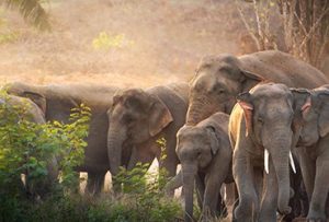 I checked couple of solutions but I’m afraid